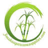 fresh sugarcane suppliers in Vietnam