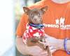 Fresno Humane Animal Services
