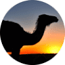 Friends of desert