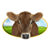 Warwick Cheese Inc.