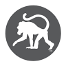 Frothy Monkey