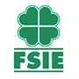 FSIE EUSKADI