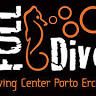 Full Dive