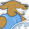 fun4dogs Ringsted Hundesvømning