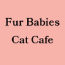 Fur Babies Cat Cafe