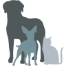 Fur Baby Pet Resort