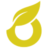 FYCOS AUDITORÍA CONSULTORÍA