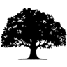 Galeria Podłóg