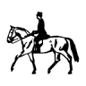 A GALLANT HORSEMAN - Armin Bavand e.K.