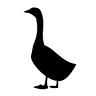 GANS Feinbrand Manufaktur GmbH