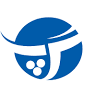 GAP Foreign Languages Institute