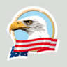 US MOTORS