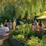 Gardens on Anderton