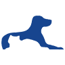 Gawler Animal Hospital