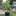 Gartenbauverein Girmesdyk e.V. Vereinsheim