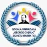 Şcoala Cu Clasele I-VIII George Coşbuc