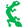 Gecko Environment Council Association Inc.