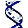 Genetic Computers, Inc.