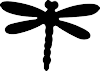 Georgia Dragonfly
