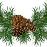 Georgia Pines