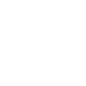 Genesis Fellowship