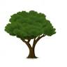 Green India Agro Bio Plantec Company