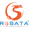 ROSATA shoes - JSC Creative Dragon