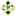 The Gilded Lily LLC