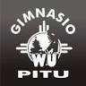 Gimnasio Pitu
