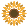 Girasoles, Centro de Desarrollo Integral para el Adulto Mayor, A.C.