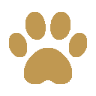 Glamour JoJo kennel