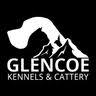 Glencoe Kennels and Cattery