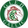 Glen Gallic Stud