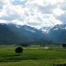 Green Mountain Bookkeeping