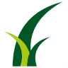 Goal Grass Artificial Turf Manufacturers