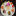 Godai Sushi Bar & Japanese Restaurant