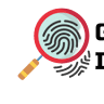 Gold Coast Investigations