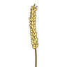 Golden Brown Bakery, Inc.