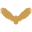 Golden Eagle Title