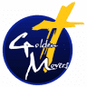 Golden Movers LLC