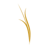 Golden West Broadcasting Ltd.