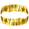 Gold Grillz Miami ®