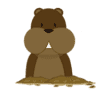 Gopher’s Grill