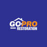 Go Pro Restoration