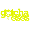 Gotcha Bears |