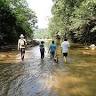 JUNGLE EXPEDITIONS - LODGE & TOURS