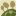 GRASSY SPUR OLIVE GROVE