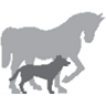 Gadd's Animal Doctors Of Gray P.C.