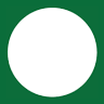 Green Srl