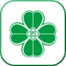 Green Master